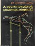 A sportmozgások anatómiai alapjai II.