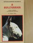 A bullterrier