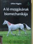 A ló mozgásának biomechanikája
