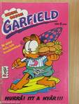 Garfield 1990/6.
