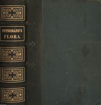 Deutschlands Flora I. (Dr. Entz Géza könyvtárából)