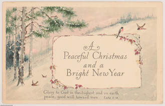A Peaceful Christmas and a Bright New Year - 