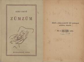 Zümzüm (Címlapterv: Vadász Endre munkája, Szép Ernő által aláírt, 200 számozott példányban megjelent mű) 