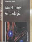 Molekuláris sejtbiológia