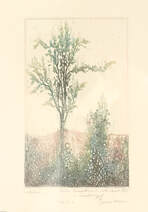 Az október (Balla Demeternek dedikált rézkarc.) - rézkarc, papír 16,2 cm x 11,4 cm