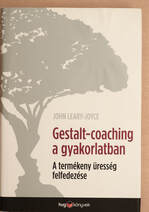 Gestalt-coaching a gyakorlatban