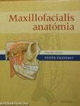 Maxillofacialis anatómia