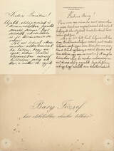 Bary Józsefnek és fiának, Bary Zoltánnak címzett autográf levelek a Tiszaeszlári bűnperrel kapcsolatban
