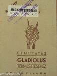 Útmutatás gladiolus termesztéséhez