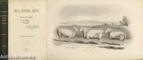 Angol-skóthoni napló 1858. és 1859. évekről (Kettő képtábla hiány!)