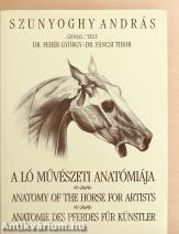 A ló művészeti anatómiája
