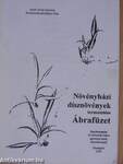 Növényházi dísznövények termesztése - Ábrafüzet