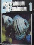 Akvárium és terrárium 1989/1.