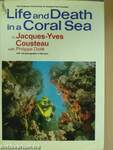 Life and Death in a Coral Sea