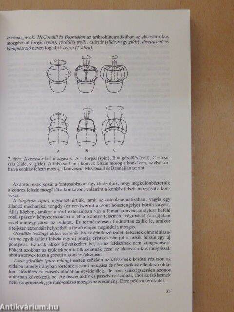 bálint bender fizioterápia elmélete és gyakorlata pdf.fr