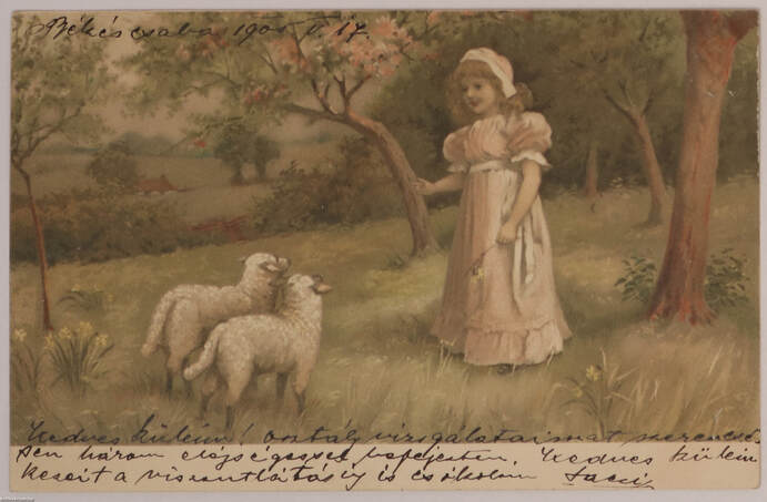  - Bárányok - kislány - képeslap, 1905 – Aukció – 5. online aukció, 2017. 12.