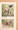 Jacqueline Fraser, Tóth Csaba, Győrffy Tamás,  - Az amerikai staffordshire terrier – Aukció – 15. újkori könyvek aukciója, 2021. 01.