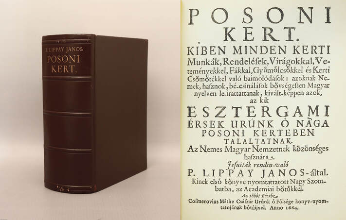 Lippai János, P. Lippai János,  - Posoni kert – Aukció – 19. újkori könyvek aukciója, 2022. 01.