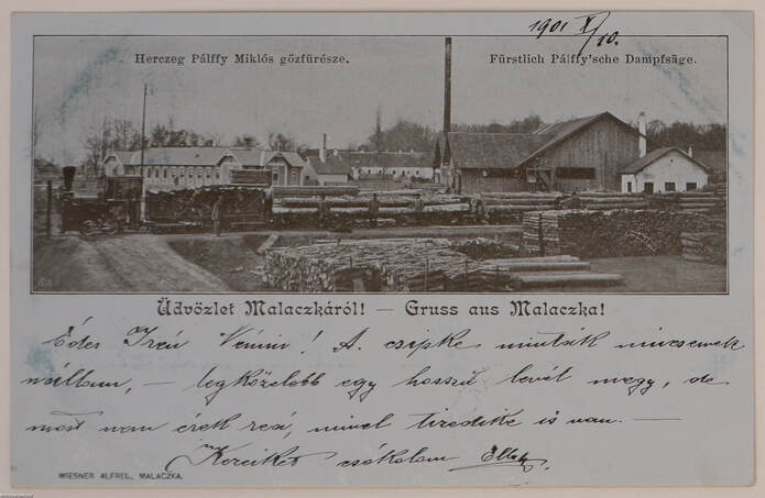  - Malaczka - Herczeg Pálffy Miklós gőzfűrésze - Fürstlich Pálffy'sche Dampfsäge - képeslap, 1901 – Aukció – 6. online aukció, 2018. 04.