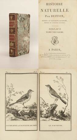  - Oiseaux (14 fekete-fehér rézmetszettel illusztrálva) – Aukció – 20. online aukció, 2023. 03.